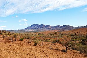 Archivo:Flinders ranges pastoral land