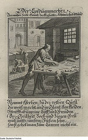 Archivo:Fotothek df tg 0008646 Ständebuch ^ Beruf ^ Handwerk ^ Gerber ^ Leder ^ Corduan