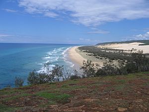 Archivo:Fraser Island south from Indian Head