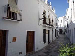 Archivo:Frigiliana 08 October.2006