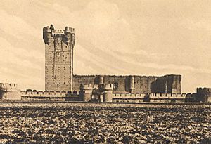 Archivo:Fundación Joaquín Díaz - Castillo de la Mota - Medina del Campo (Valladolid) (4)