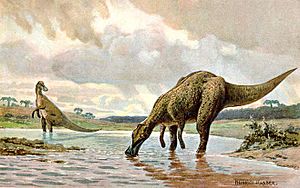 Archivo:Hadrosaur