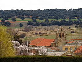 Iglesia de Santo Tomás