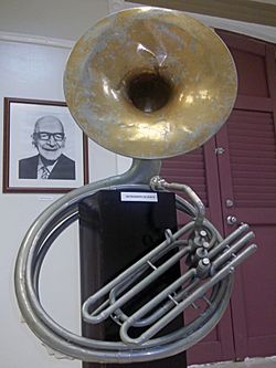 Archivo:Instrumento de viento de Herminio Brau, Cabo Rojo