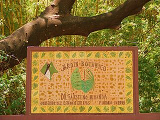 Jardin Botanico. Dr. Faustino Miranda. - panoramio.jpg