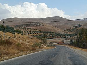 Archivo:Jordanien Große Syrische Wüste 04