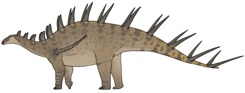 Kentrosaurus aethiopicus