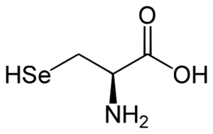 Archivo:L-Selenocysteine