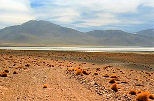 Archivo:Laguna y Cerro Vilama, Jujuy, Argentina - panoramio