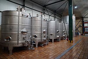 Archivo:Maceración de pacharán