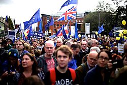 Archivo:Manchester anti-Brexit protest for Conservative conference, October 1, 2017 IMG 2709