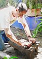 Metate (fcm)