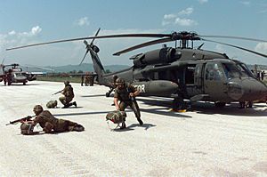 Archivo:Norwegian mech battalion soldiers UH-60