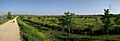 PanoramicaBosqueSur