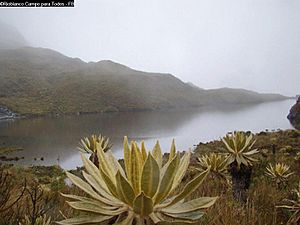 Archivo:Parque Nacional Natural Las Hermosas