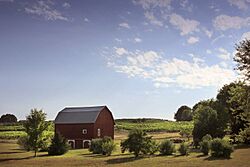 Pastoral-barn.jpg