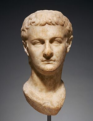 Archivo:Portrait Head of Caligula - Getty Museum (72.AA.155)