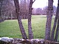 Prado sta colomba