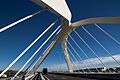 Puente Nelson Mandela (El Prat de Llobregat). Vista 3