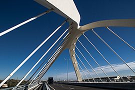 Puente Nelson Mandela (El Prat de Llobregat). Vista 3