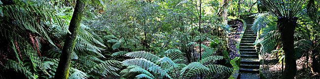 Archivo:Rainforest walk national botanical gardens