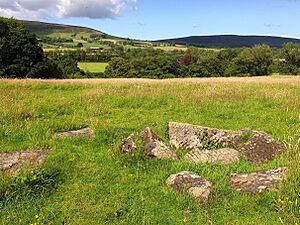 Archivo:Site of Navio Roman Fort at Brough in July 2020