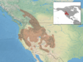 Spermophilus lateralis distribution