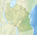 Tanzania relief location map