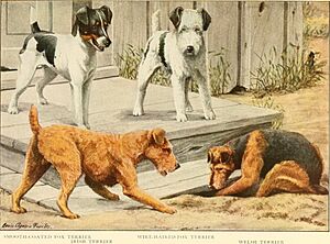 Archivo:The book of dogs; an intimate study of mankind's best friend (1919) (20370594066)