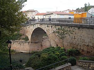 Archivo:Trillo-Puente sobre el Tajo 01