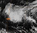 Tropical Storm Paka in the Central Pacific.jpg