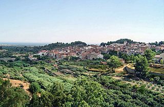 Vilanova1 edited.jpg