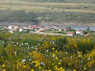 Villaflor makes his name honor Zamora.JPG