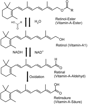Archivo:Vitamin-A-Synthese