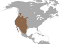 Western Spotted Skunk range