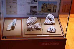 Archivo:Yeserias góticas del castillo Valencia de Don juan