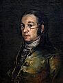 (Castres) Autoportrait aux lunettes, Francisco de Goya y Lucientes, Musée Goya