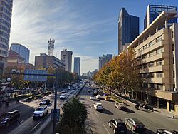 长江中路1.jpg