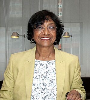 130517 Pillay HC Mensenrechten VN 3050 (12768843023) (cropped).jpg