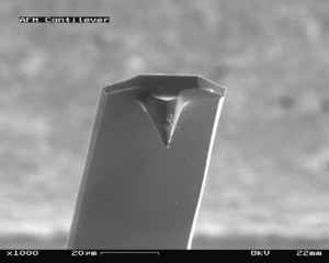 Archivo:AFM (used) cantilever in Scanning Electron Microscope, magnification 1000x