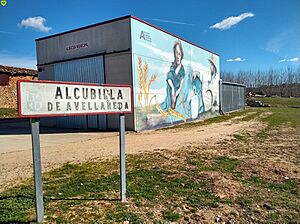 Archivo:Alcubilla de avellaneda 01 (Cartel de entrada al pueblo y mural)