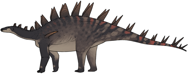 Bashanosaurus primitivus