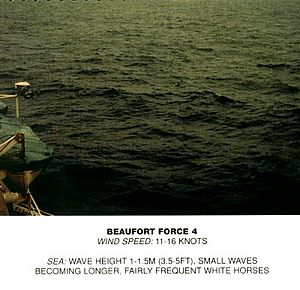 Archivo:Beaufort scale 4
