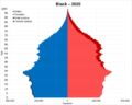 Black Americans population pyramid in 2020