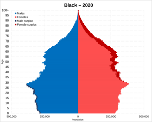 Archivo:Black Americans population pyramid in 2020