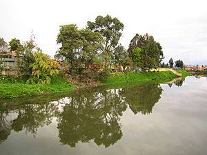 Archivo:Bogotá, río Bogotá en Fontibón