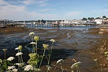 Archivo:Boothbay Harbor, summer morning at low tide