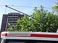 CLRV Trolley Pole