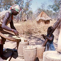 COLLECTIE TROPENMUSEUM Een vrouw voegt water toe tegen het stuiven van te stampen mais omgeving van Kasempa TMnr 20039222.jpg