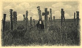 Archivo:Cementerio mapuche(2)